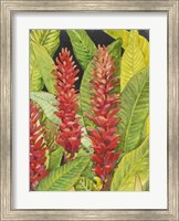 Framed Red Tropical Flowers II