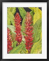 Red Tropical Flowers II Framed Print