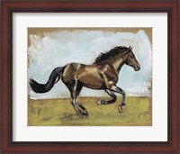Framed Equestrian Studies I