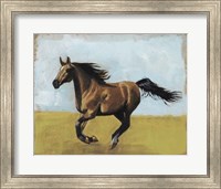 Framed Equestrian Studies II