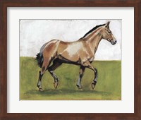 Framed Equestrian Studies III