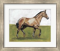 Framed Equestrian Studies III