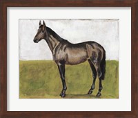 Framed Equestrian Studies IV