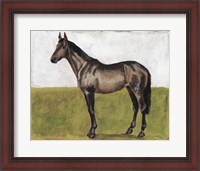 Framed Equestrian Studies IV