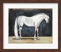 Framed Equestrian Studies V
