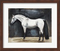 Framed Equestrian Studies VI