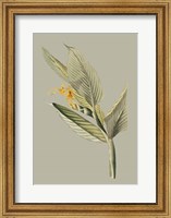 Framed Botanical Cabinet III