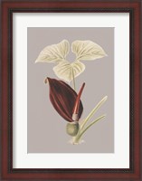 Framed Botanical Cabinet VIII