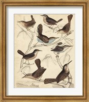 Framed Avian Habitat VI