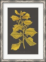 Framed Trees & Leaves V