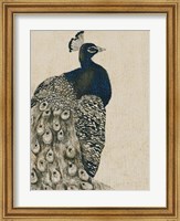 Framed Textured Peacock I