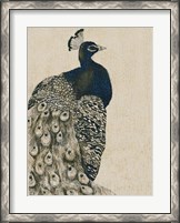 Framed Textured Peacock I