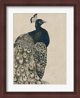 Framed Textured Peacock I