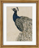 Framed Textured Peacock II