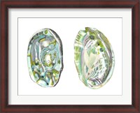 Framed Abalone Shells II