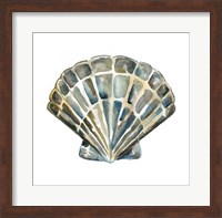 Framed Aquarelle Shells IV