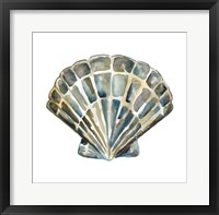 Framed Aquarelle Shells IV