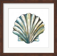 Framed Aquarelle Shells VI