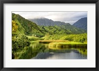 Framed Coastal Marsh I