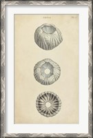 Framed Cylindrical Shells I