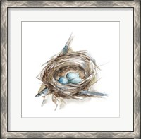 Framed Bird Nest Study II