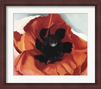 Framed Poppy