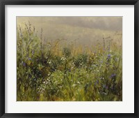 Framed Wildflowers in the Mist