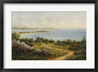 Framed Cape Cod View