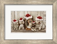 Framed Dogs Christmas