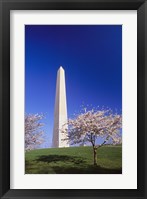 Framed Arlington Cemetery in Spring
