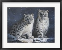 Framed Young Snow Leopards Into the Dark