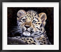 Framed Amur Leopard Cub