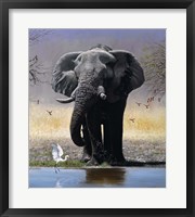 Framed Elephant, Egret And Carmines
