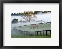 Framed Horses in the Mist #3, Kentucky 08