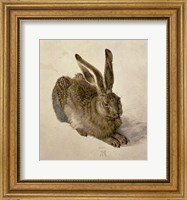 Framed Young Hare, c.1502