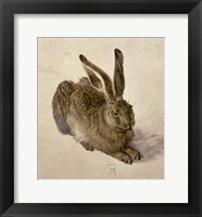 Framed Young Hare, c.1502