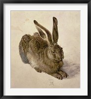 Framed Young Hare, c.1502