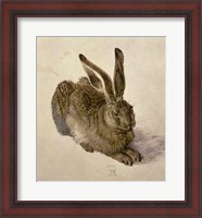 Framed Young Hare, c.1502