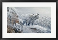 Framed Winter's Fury Mountain Goat