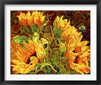 Framed Four Sunflowers