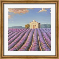 Framed Campi di Lavanda (Detail)