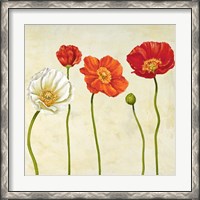 Framed Coquelicots (Detail)