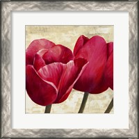 Framed Red Tulips (Detail)