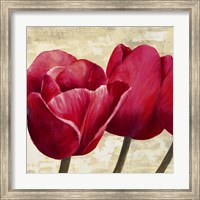 Framed Red Tulips (Detail)