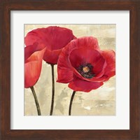 Framed Red Poppies (Detail)