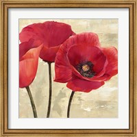 Framed Red Poppies (Detail)