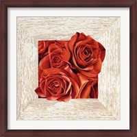 Framed French Roses I