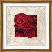 Framed French Roses II