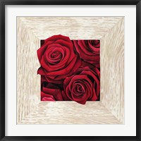 Framed French Roses II