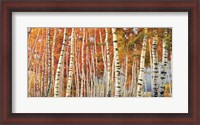 Framed Betulle d'autunno